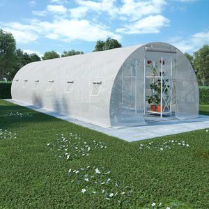 vidaXL Greenhouse Outdoor Grow House Green House for Plant Growing Gardening