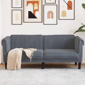 vidaXL Sofa 2-Seater Upholstered Couch Loveseat Living Room Dark Gray Velvet