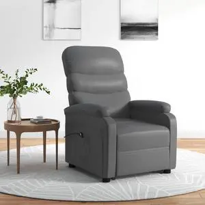 vidaXL Stand Up Chair Anthracite Faux leather, Iron, Poplar wood Standard