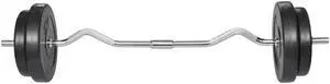 vidaXL 66.1 lb Curl Bar with Weights