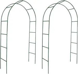 xidaXL Garden Arch 2 pcs Climbing Plants