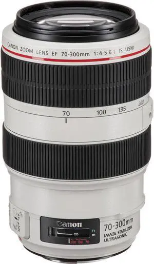 Canon EF 70-300mm f/4-5.6L IS USM Lens