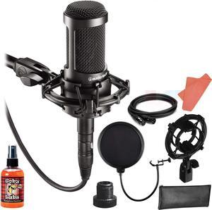 Audio-Technica AT2035 Cardioid Condenser Microphone Bundle with Shockmount, Pop Filter, 10-Ft XLR, Cleaning Kit and 1-Ye