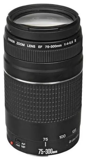 Canon EF 75-300mm f/4-5.6 III Telephoto Zoom Lens for Canon SLR Cameras, 6473A003 (Renewed)