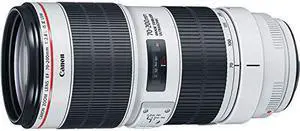 Canon EF 70-200mm f/2.8L IS III USM Lens Bundle w/ 64GB Memory Card + Accessories, and UV Filter (Intl Model)