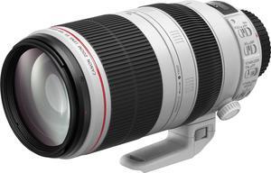 Canon EF 100-400mm f/4.5-5.6L IS II USM Lens - International Version