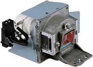 BenQ 5J.J4105.001  OEM Replacement Projector Lamp . Includes New Philips UHP 190W Bulb and Housing