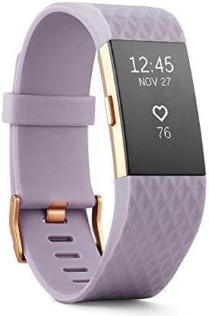 Fitbit Charge 2  Rose gold  activity tracker with band  lavender  L  monochrome  Bluetooth  123 oz