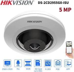 DS-2CD2955G0-ISU(1.05mm) 5MP PoE 180° Fisheye H.265+ IR Built-In Mic IP Camera