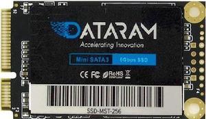 DATARAM 256GB mSATA 6Gb/s SSD, Internal Solid State Drive Mini Sata