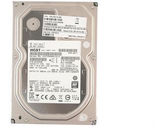 (NOT FOR HOME PC!) HGST 4TB 7200RPM SAS 3.5" HDD 0F22948 for NetApp DS4246 DS212C FAS2620