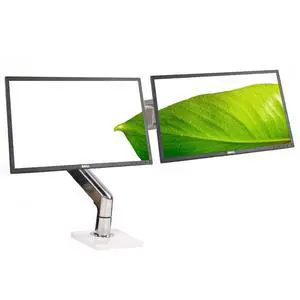 Dual Dell Professional P2217 22" Backlit Monitor & Adjustable Humanscale Stand Dual Dell Professional P2217 22" Backlit Monitor & Adjustable Humanscale Stand