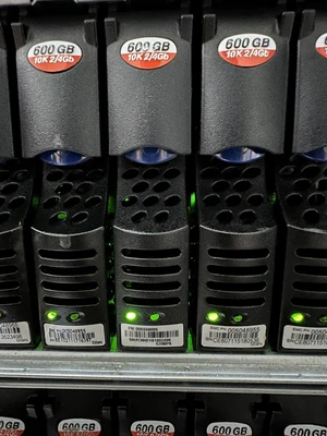005048955 / ST3600002FC 118032664-A01 600GB 10K HDD W/caddy Seagate Cheetah NS.2 005048955 / ST3600002FC 118032664-A01 600GB 10K HDD W/caddy Seagate Cheetah NS.2