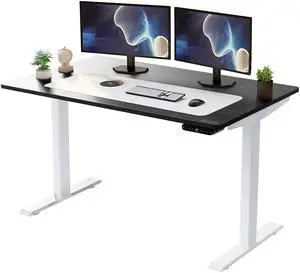 RISE UP dual motor electric standing desk 48x30" black desktop premium ergonomic adjustable height sit stand up home office computer desk table motorized powered modern furniture small standup table