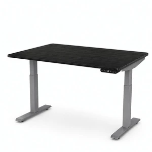 Rise Up 2-stage Dual Motor Electric Standing Desk with Black Bamboo Top Rise Up 2-stage Dual Motor Electric Standing Desk with Black Bamboo Top