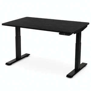 Rise Up 2-stage Dual Motor Electric Standing Desk with Black Bamboo Top Rise Up 2-stage Dual Motor Electric Standing Desk with Black Bamboo Top