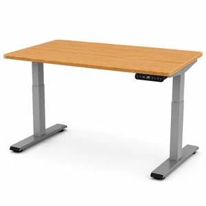 Rise Up 2-stage Dual Motor Electric Standing Desk with Natural Bamboo Top Rise Up 2-stage Dual Motor Electric Standing Desk with Natural Bamboo Top