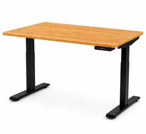 Rise Up 2-stage Dual Motor Electric Standing Desk with Natural Bamboo Top Rise Up 2-stage Dual Motor Electric Standing Desk with Natural Bamboo Top