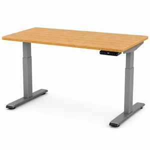 Rise Up 2-stage Dual Motor Electric Standing Desk with Natural Bamboo Top Rise Up 2-stage Dual Motor Electric Standing Desk with Natural Bamboo Top