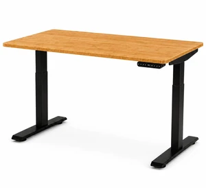 Rise Up 2-stage Dual Motor Electric Standing Desk with Natural Bamboo Top Rise Up 2-stage Dual Motor Electric Standing Desk with Natural Bamboo Top