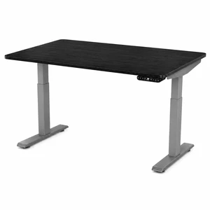 Rise Up 2-stage Dual Motor Electric Standing Desk with Black Bamboo Top Rise Up 2-stage Dual Motor Electric Standing Desk with Black Bamboo Top