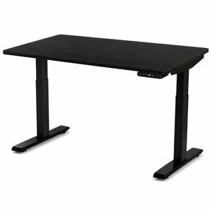 Rise Up 2-stage Dual Motor Electric Standing Desk with Black Bamboo Top Rise Up 2-stage Dual Motor Electric Standing Desk with Black Bamboo Top