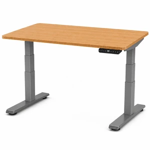 Rise Up 3-stage Dual Motor Electric Standing Desk with Natural Bamboo Top Rise Up 3-stage Dual Motor Electric Standing Desk with Natural Bamboo Top