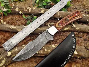 11" Long hand forged Damascus steel full tang blade skinning Knife, 2 tone brown Dollar wood with Brass bolster scale, Cow Leather sheath