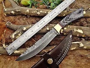 11" Long hand forged Damascus steel full tang clip point blade skinning Knife, Dollar wood with Brass bolster scale, Cow Leather sheath