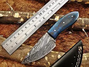 6.5" Long hand forged compact Knife, full tang Damascus steel 3" drop point blade, blue colored Bone scale, Cow hide Leather sheath