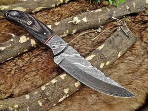 9.5" Long hand forged Damascus steel full tang blade skinning Knife, 2 tone black Dollar wood with Damascus bolster, Cow Leather sheath (Dollar wood)