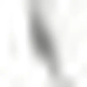 TPN-006X_N1 HP Slatebook X2 10-H000 Series Laptop Touchpad Board Assembly White TPN-006X Laptop Sensor Boards