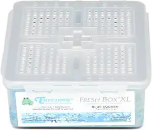 Generic AFS-FBXLBS33 Tree Frog Fresh Box XL Large Blue Squash Scent Natural Fragrances Gel-Based Air Freshener Deodorizer FBXLBS33