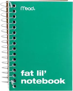 Mead Fat Lil' Notebook: 4 in. x 5-1/2 in. (Green)