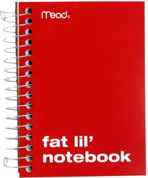 Mead Fat Lil' Notebook: 4 in. x 5-1/2 in. (Red)