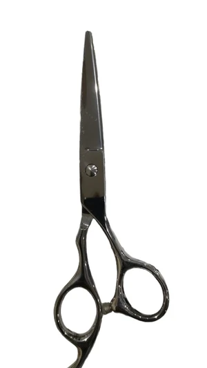 SAMPLE CHINA PROFESSIONAL HAIR CUTTING SCISSOR SILVER / GOLD SAMPLE CHINA PROFESSIONAL HAIR CUTTING SCISSOR SILVER / GOLD