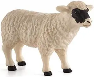 Black Faced Sheep (Ewe) by Mojo