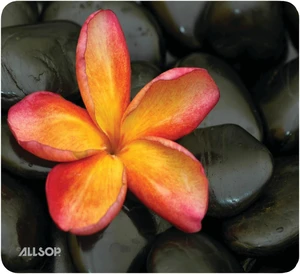Allsop 30185 Naturesmart Mouse Pad, Floral