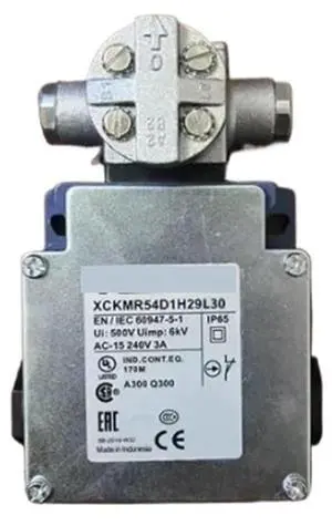 High Temperature Cross Limit Switch XCKMR54D1H29L30
