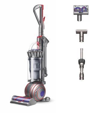 Dyson UP30 Ball Animal 3 | Nickel/Silver