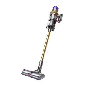 SV16 V11 Outsize Origin Cordless Vacuum Cleaner | Gold
