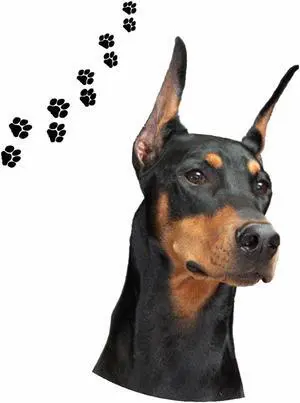 Andreas Round Silicone Mat Jar Opener, Doberman Dog, 6.25 Inch Andreas Round Silicone Mat Jar Opener, Doberman Dog, 6.25 Inch