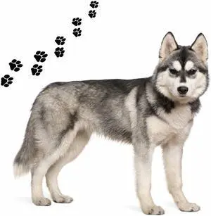Andreas Round Silicone Mat Jar Opener, Husky Dog, 6.25 Inch Andreas Round Silicone Mat Jar Opener, Husky Dog, 6.25 Inch