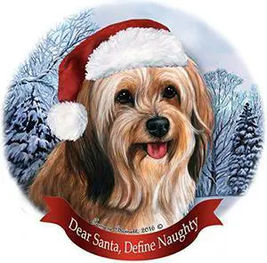 Holiday Pet Gifts Sable Tibetan Terrier Santa Hat Dog Porcelain Ornament Holiday Pet Gifts Sable Tibetan Terrier Santa Hat Dog Porcelain Ornament