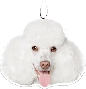 Spoontiques White Poodle Air Freshener (3-Pack) Spoontiques White Poodle Air Freshener (3-Pack)
