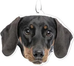 Spoontiques Black Dachshund Air Freshener (3-Pack) Spoontiques Black Dachshund Air Freshener (3-Pack)