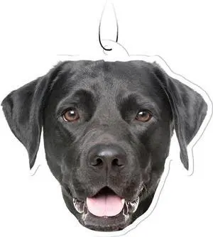 Spoontiques Black Lab Labrador Retriever Air Freshener (3-Pack) Spoontiques Black Lab Labrador Retriever Air Freshener (3-Pack)