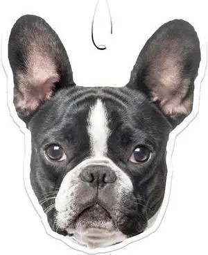 Spoontiques French Bulldog Air Freshener (3-Pack) Spoontiques French Bulldog Air Freshener (3-Pack)