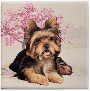 Yorkie Tabletop Drink Coaster (1) Yorkie Tabletop Drink Coaster (1)