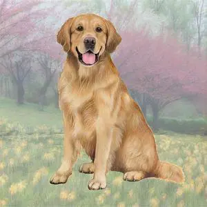Golden Retriever (Sitting) Tabletop Drink Coaster (1) Golden Retriever (Sitting) Tabletop Drink Coaster (1)